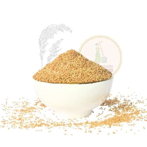 [FIN-PREM-MIL-KORRALU-500G-001] Korralu, Foxtail millet | కొర్రలు (500g)